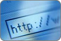 Domain Name Registration Information